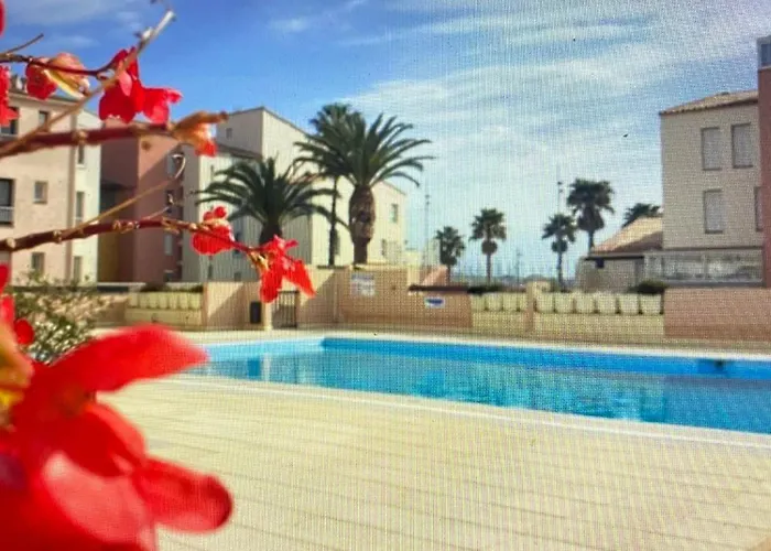 Pépite 3 Pieces Centre-port Appartamento